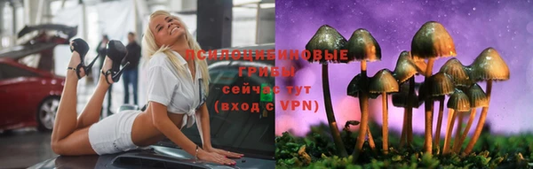 прущие грибы Шали