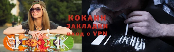 стафф Алексин