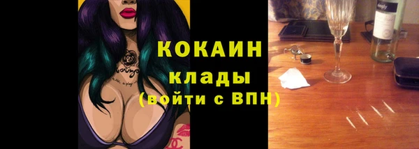 стафф Алексин